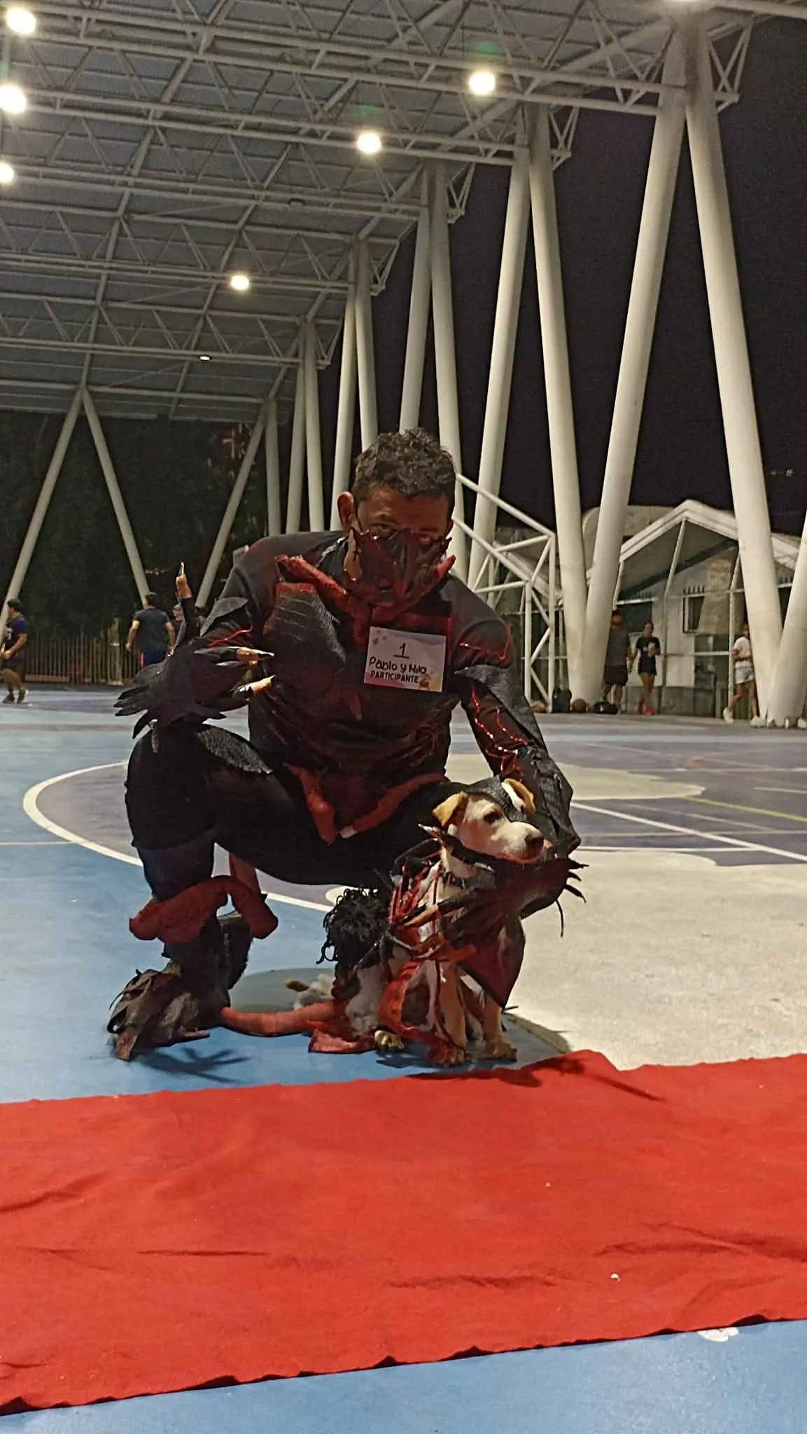 imagen recuadro imagen recuadro