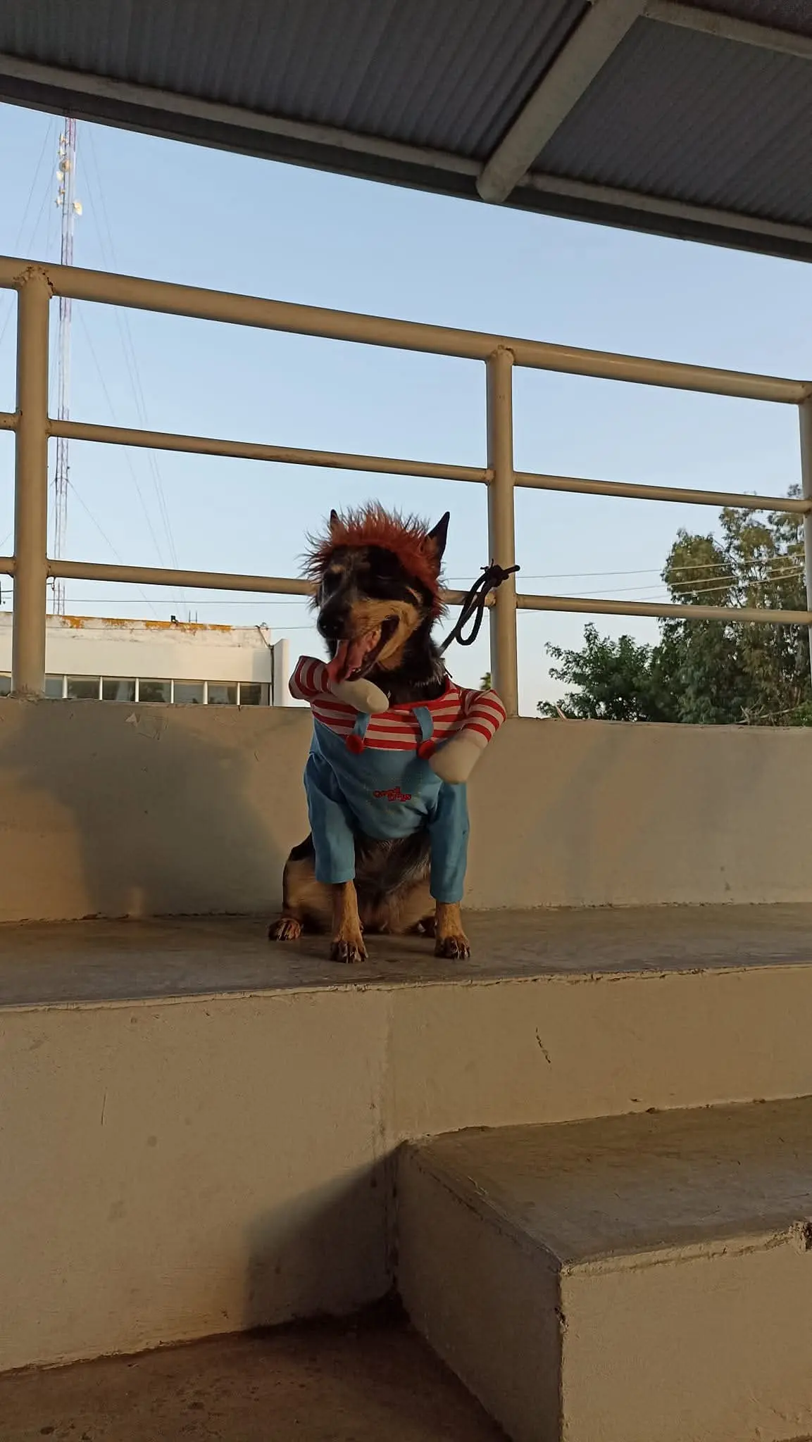 imagen recuadro imagen recuadro