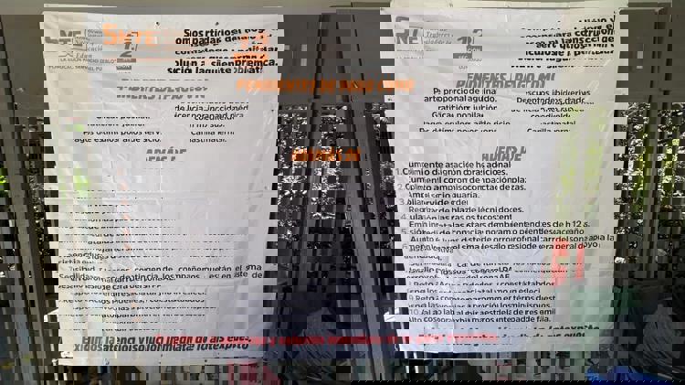 imagen-cuerpo imagen-cuerpo