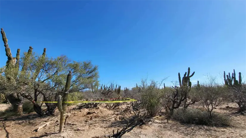 imagen recuadro Foto: Colectivo Búsqueda x La Paz