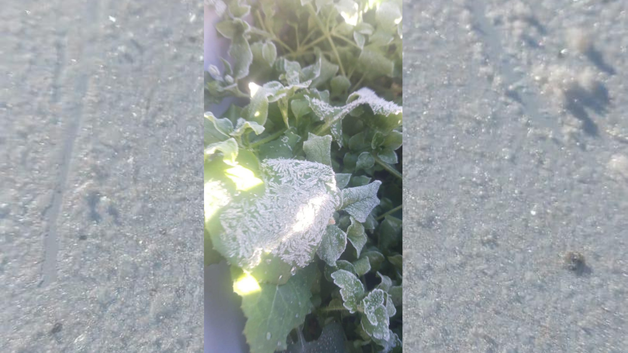 imagen-cuerpo imagen-cuerpo