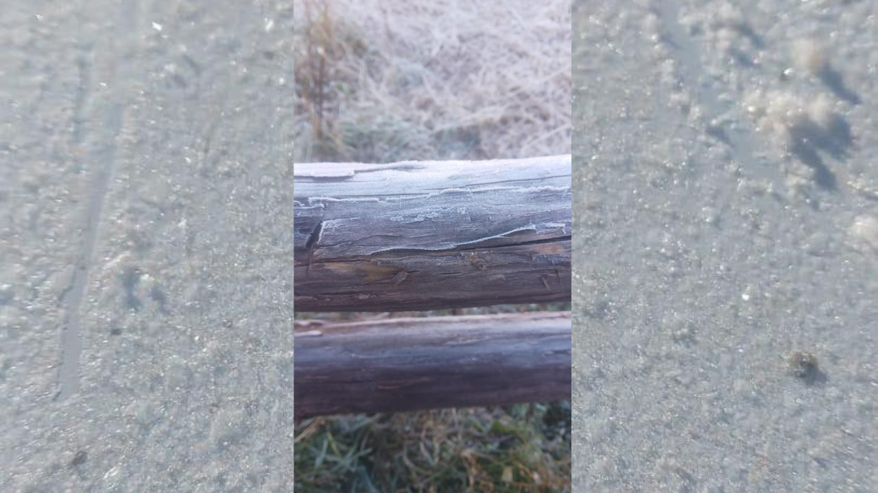 imagen-cuerpo imagen-cuerpo