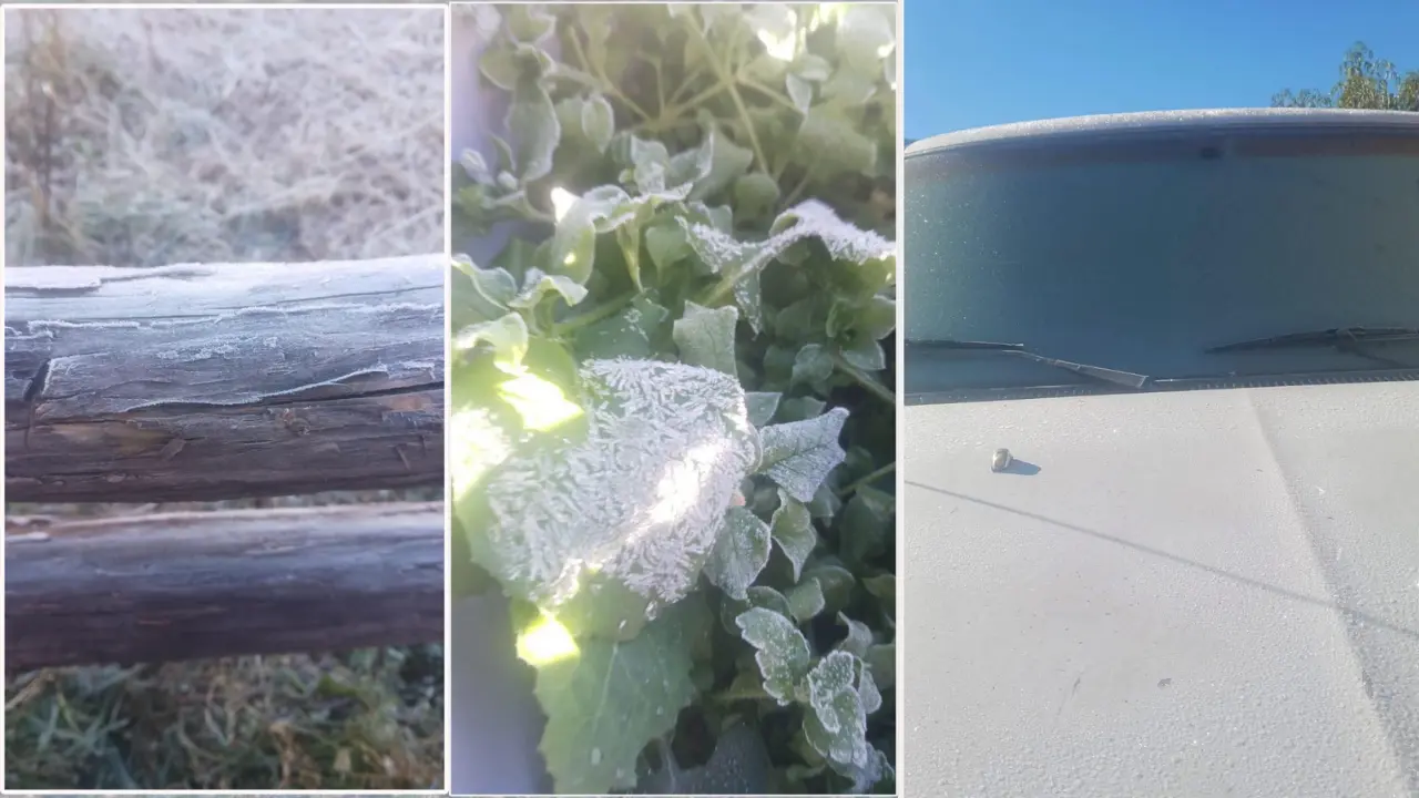 Miquihuana baja a los -6.7 grados centígrados. FOTO | Rosalinda Rodríguez