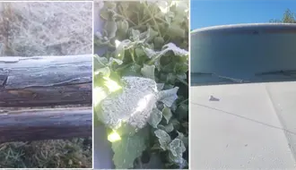 Ola de frío polar azota la sierra Madre Oriental en Tamaulipas: Miquihuana toca los -6.7 grados centígrados