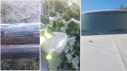 Ola de frío polar azota la sierra Madre Oriental en Tamaulipas: Miquihuana toca los -6.7 grados centígrados Ola de frío polar azota la sierra Madre Oriental en Tamaulipas: Miquihuana toca los -6.7 grados centígrados