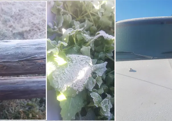 Ola de frío polar azota la sierra Madre Oriental en Tamaulipas: Miquihuana toca los -6.7 grados centígrados