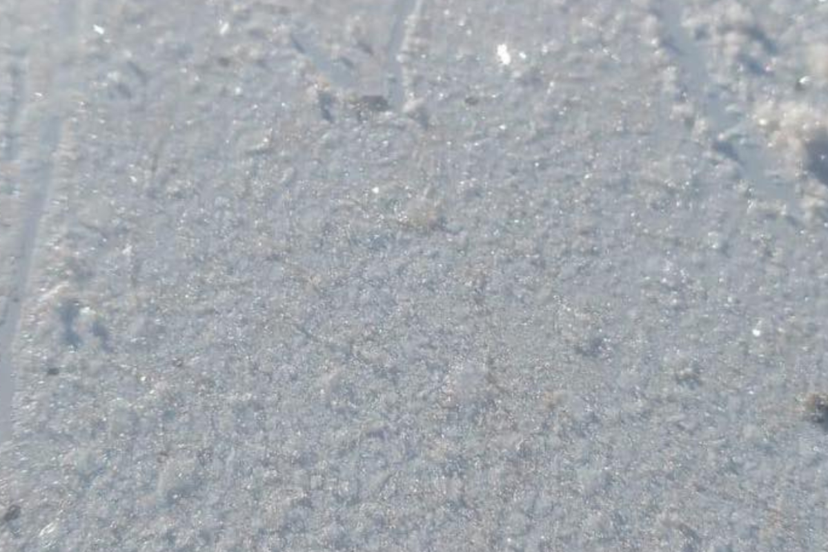 imagen-cuerpo imagen-cuerpo