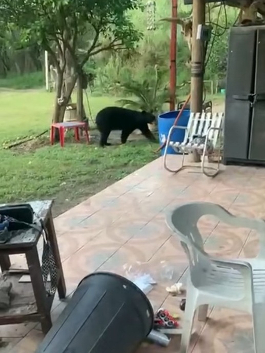 imagen-cuerpo imagen-cuerpo