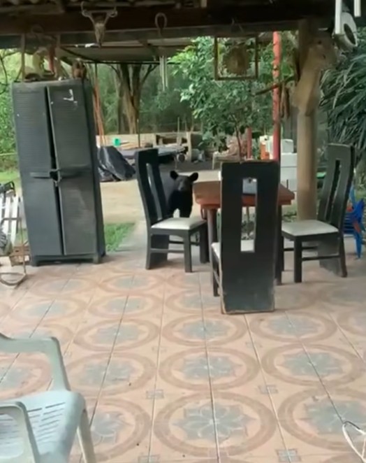 imagen-cuerpo imagen-cuerpo