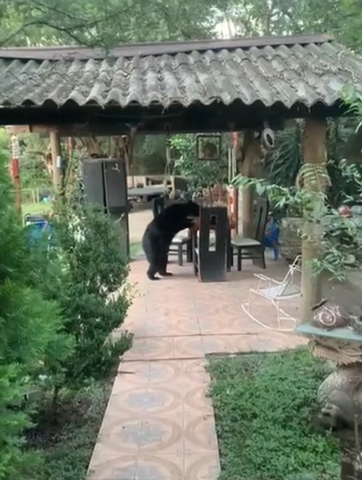 imagen-cuerpo imagen-cuerpo