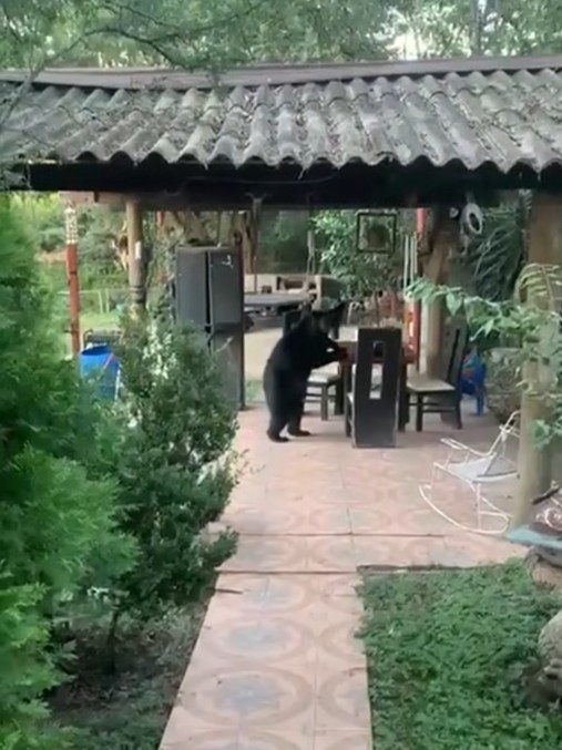 imagen-cuerpo imagen-cuerpo