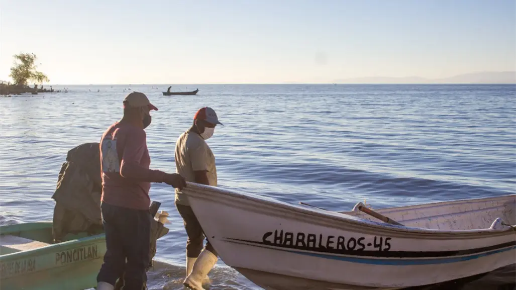 A días de iniciar la pesca de camarón en litoral de Tamaulipas, ¿cuánto duró la veda para los pescadores?