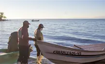 A días de iniciar la pesca de camarón en litoral de Tamaulipas, ¿cuánto duró la veda para los pescadores? A días de iniciar la pesca de camarón en litoral de Tamaulipas, ¿cuánto duró la veda para los pescadores?