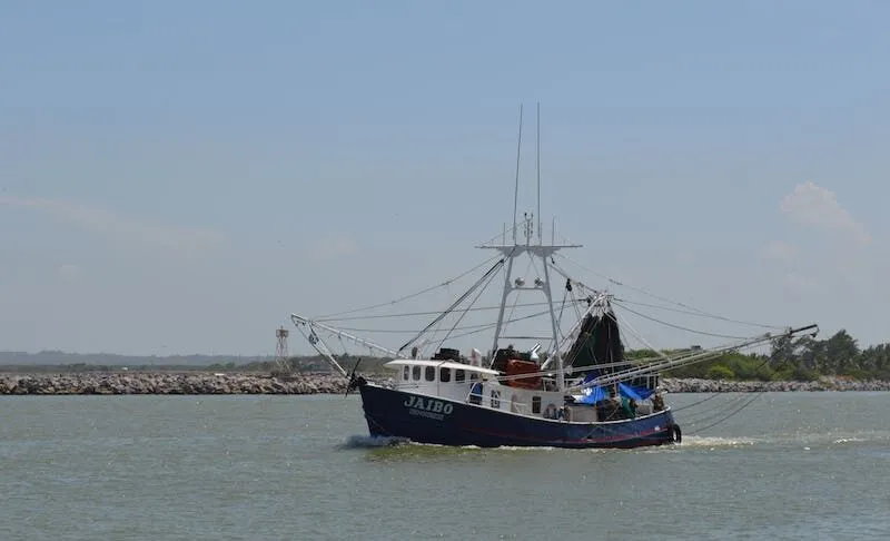 imagen recuadro imagen recuadro