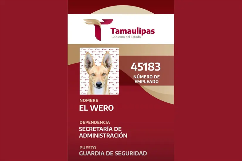 imagen recuadro Credencial de