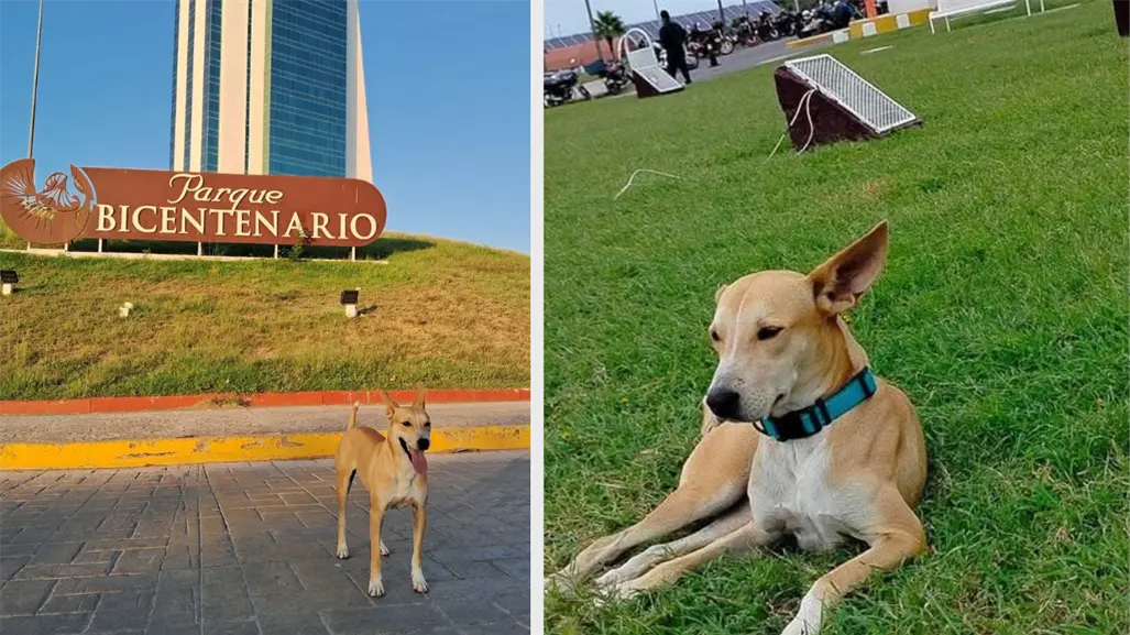 Ola de apoyo en redes por "El Wero de la Torre", tras acusación de mordida