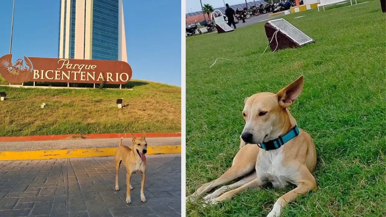 Todos somos: Puro Team #Wero | Foto: Perla Herrera