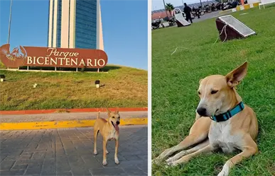 Ola de apoyo en redes por "El Wero de la Torre", tras acusación de mordida