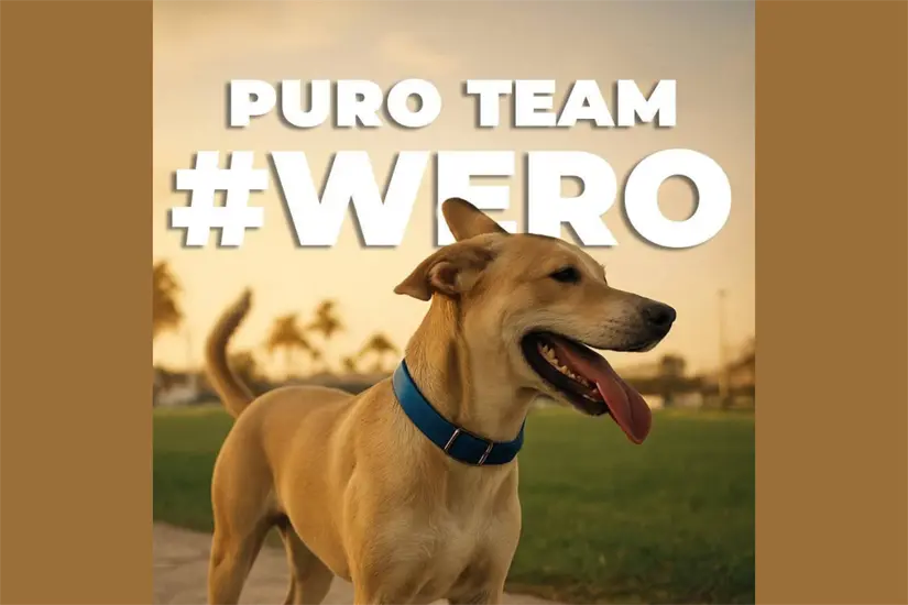 imagen recuadro Puro Team #Wero | Foto: FB Mia Fressy