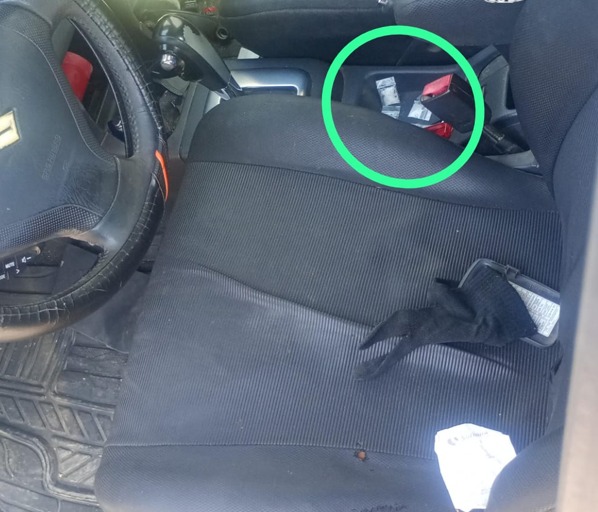 imagen-cuerpo imagen-cuerpo