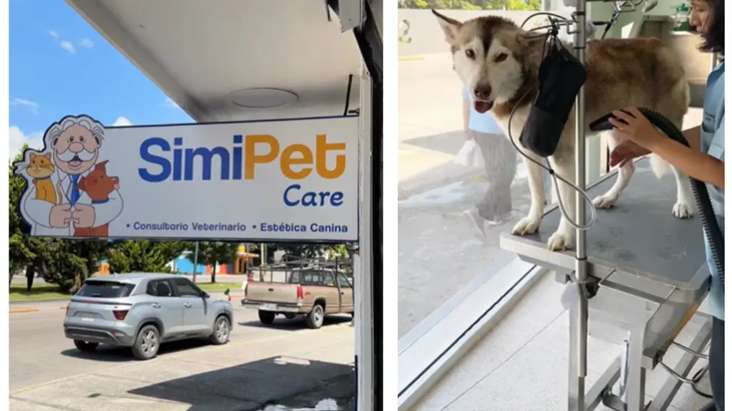 SimiPetCare: ¿En qué estados opera y qué servicios ofrece para tu mascota?