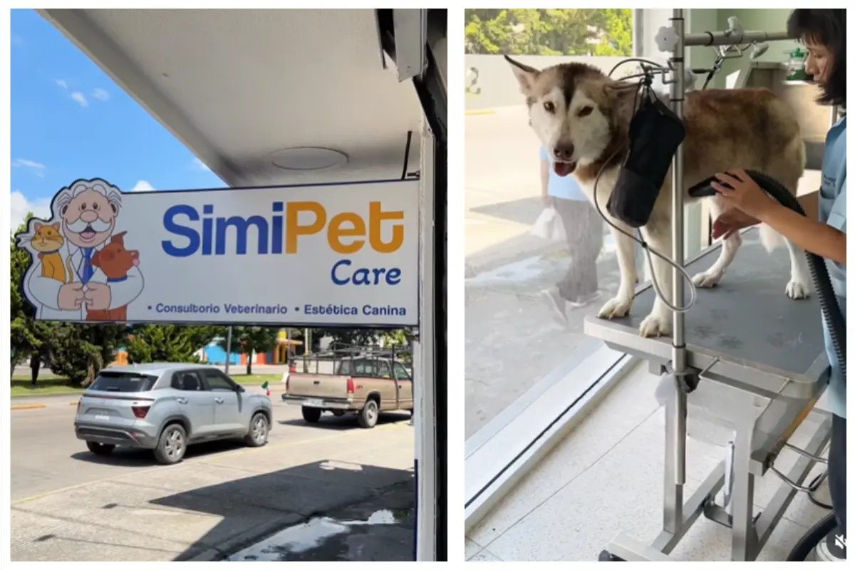 SimiPetCare: ¿En qué estados opera y qué servicios ofrece para tu mascota?. Foto: SimiPetCare