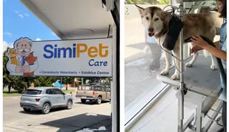 SimiPetCare: ¿En qué estados opera y qué servicios ofrece para tu mascota?