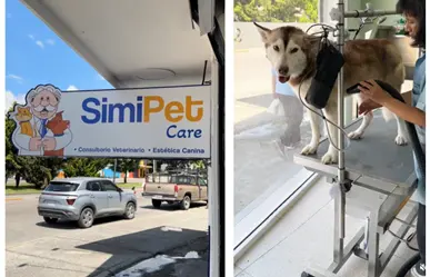 SimiPetCare: ¿En qué estados opera y qué servicios ofrece para tu mascota?
