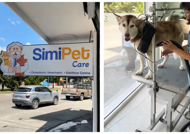 SimiPetCare: ¿En qué estados opera y qué servicios ofrece para tu mascota?
