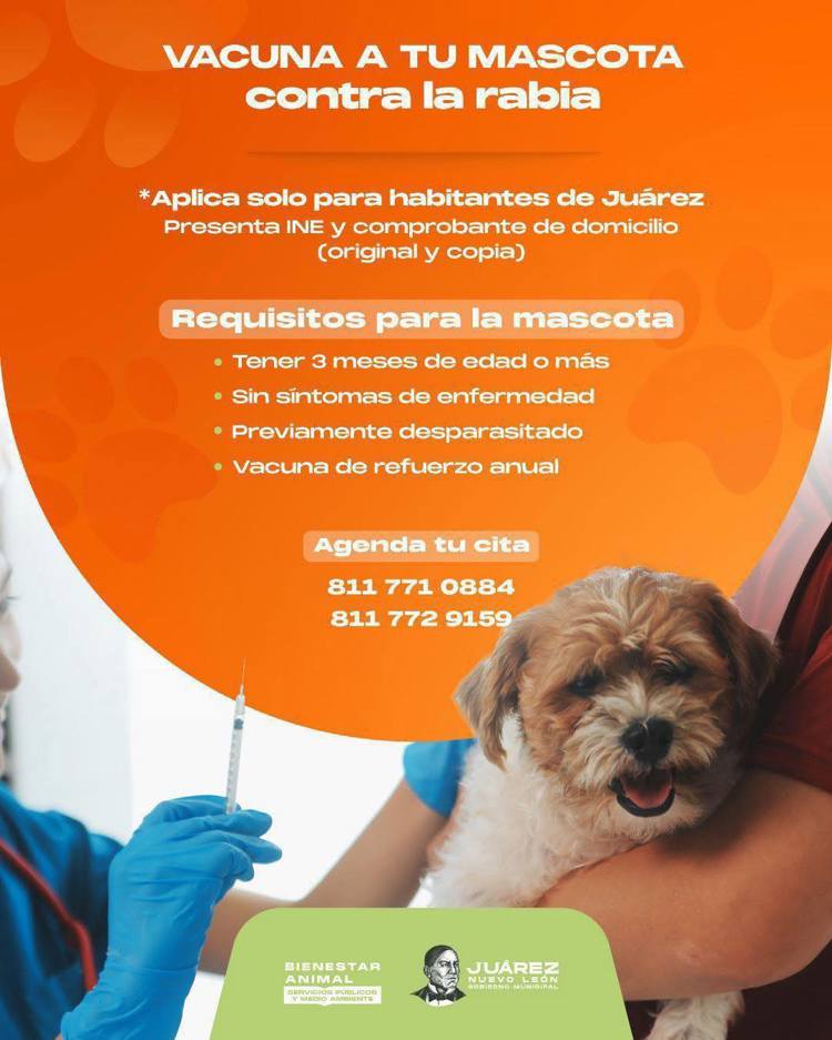 imagen-cuerpo imagen-cuerpo