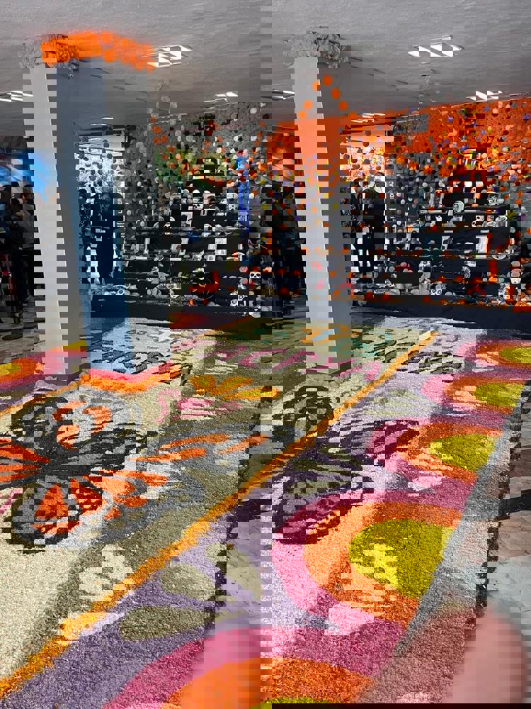 imagen-cuerpo imagen-cuerpo