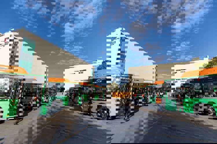 imagen-cuerpo imagen-cuerpo