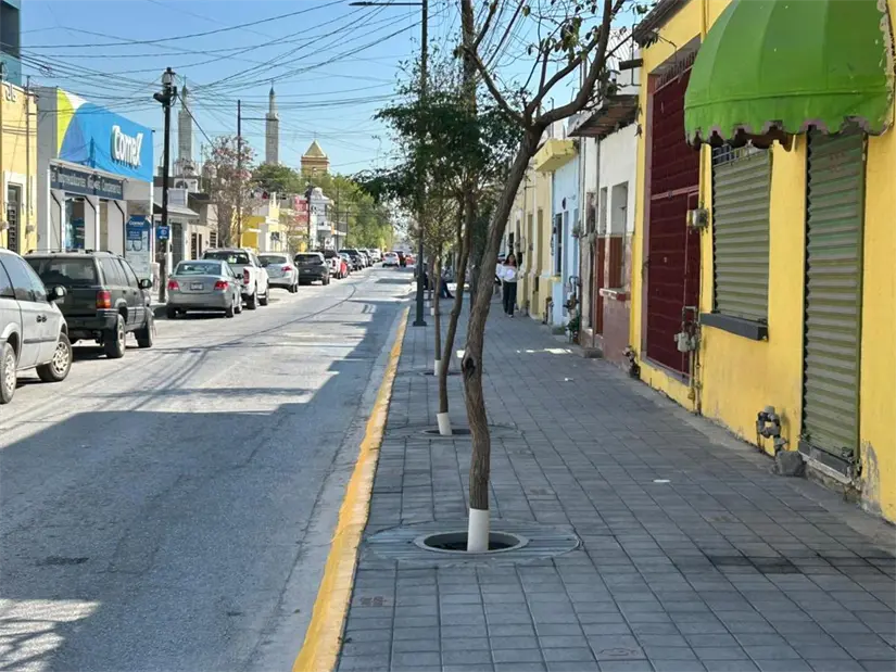 imagen recuadro Guadalupe se prepara para el Mundial 2026 y el gobernador Samuel García resalta las obras que respaldan esta aspiración. Foto: Diego Ovalle
