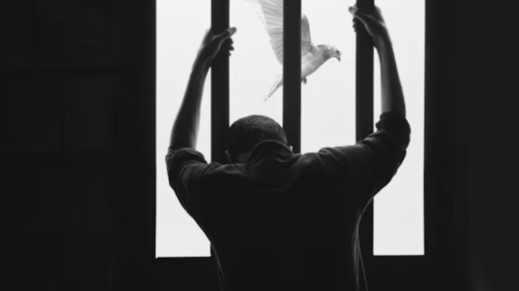 imagen-cuerpo imagen-cuerpo