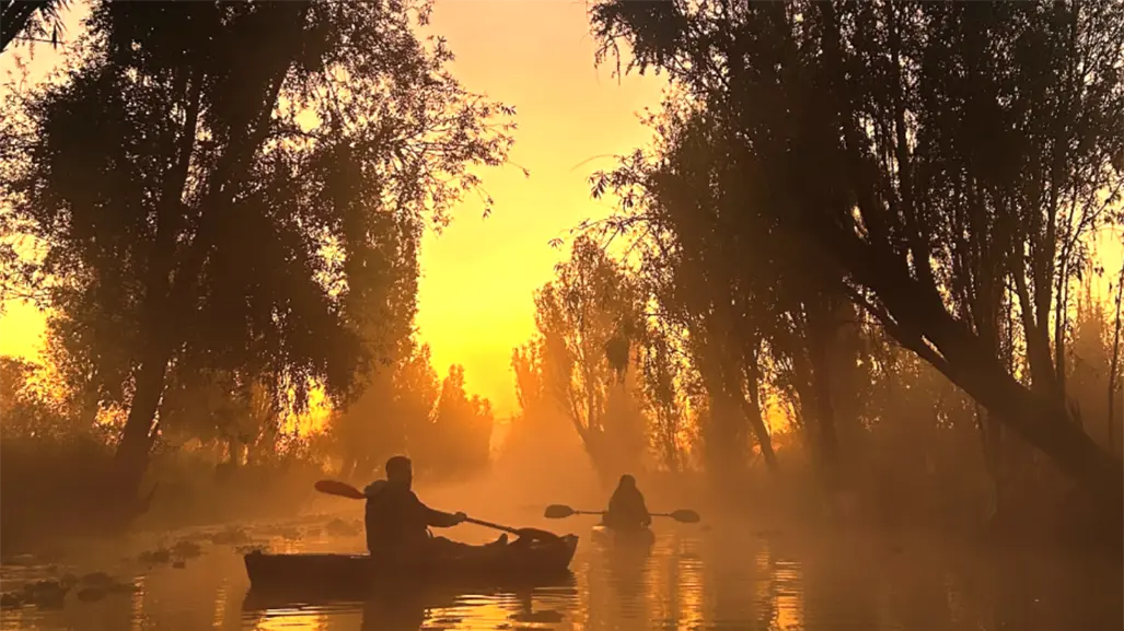 Amanecer en Xochimilco: conoce el costo y disfruta sus canales, chinampas y paisajes únicos