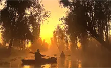Amanecer en Xochimilco: conoce el costo y disfruta sus canales, chinampas y paisajes únicos Amanecer en Xochimilco: conoce el costo y disfruta sus canales, chinampas y paisajes únicos