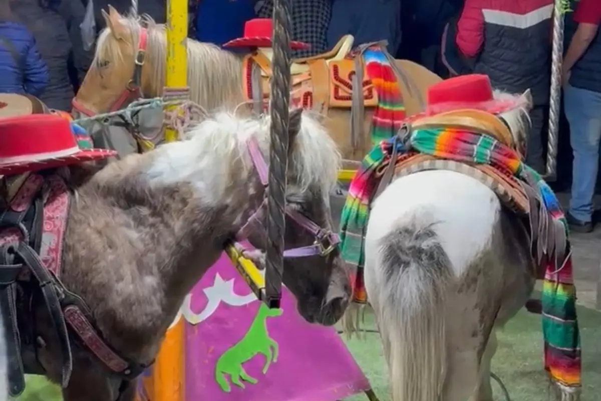 Carrusel de ponis Foto: X(Twitter) @sereslibres_mx