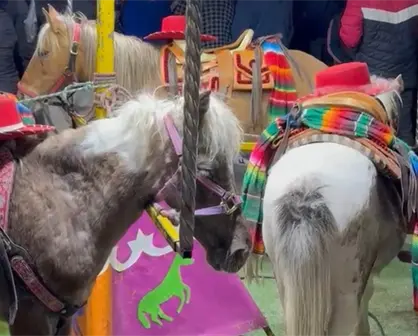 Denuncian maltrato animal por uso de ponis como carrusel viviente en la Feria de Tlaxcala 2025