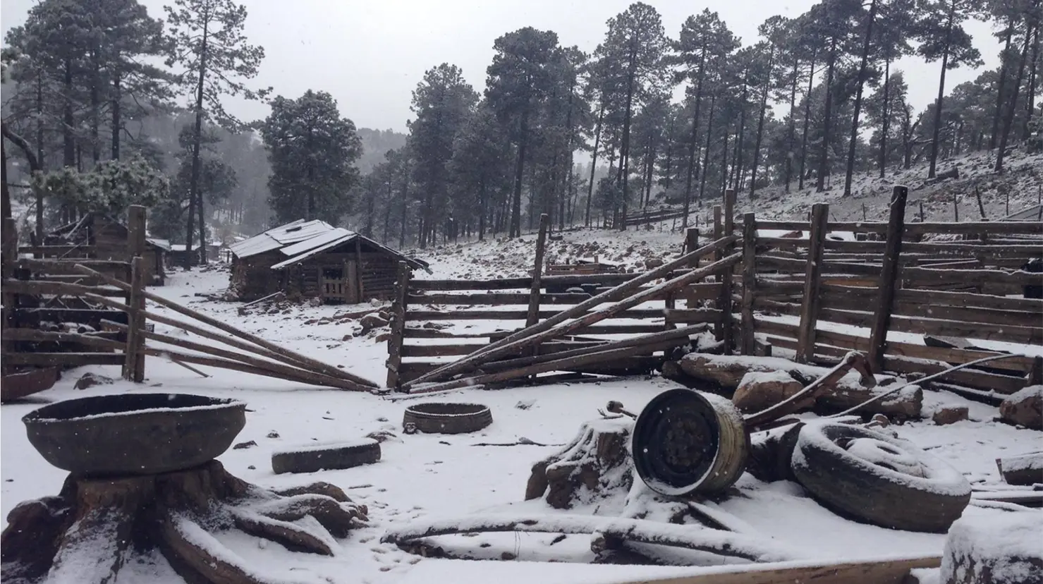 Las regiones más frías de Durango se encuentra en la sierra de Guanaceví. Foto: Brenda García.