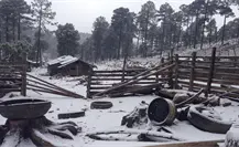 ¿Podría romperse el récord de frío en Durango en el invierno 2025 - 2026? Esto se sabe