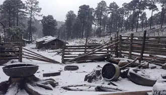 ¿Podría romperse el récord de frío en Durango en el invierno 2025 - 2026? Esto se sabe