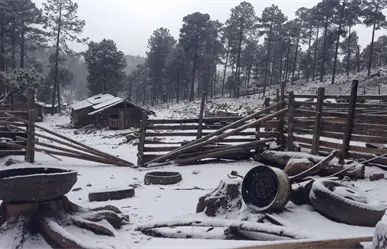 ¿Podría romperse el récord de frío en Durango en el invierno 2025 - 2026? Esto se sabe