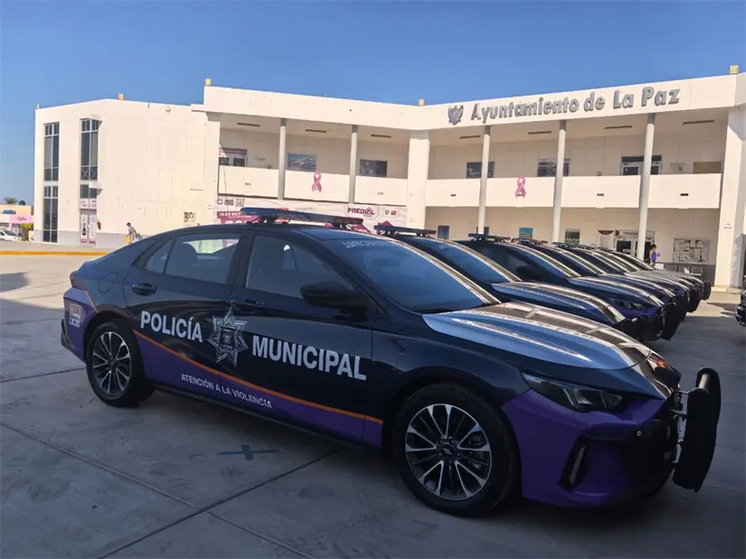 imagen recuadro Foto: Rocío Casas / POSTA Baja California Sur.