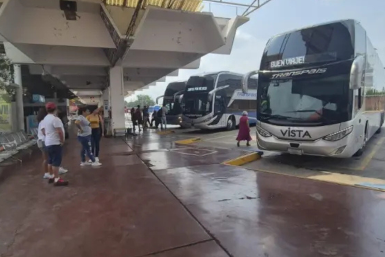 imagen-cuerpo imagen-cuerpo