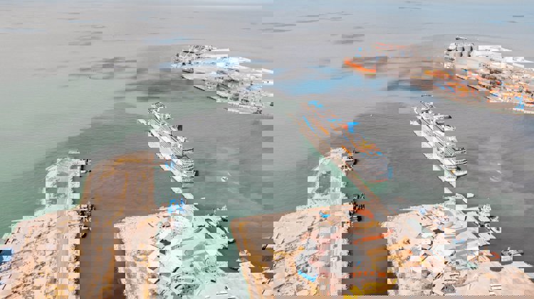 imagen-cuerpo imagen-cuerpo