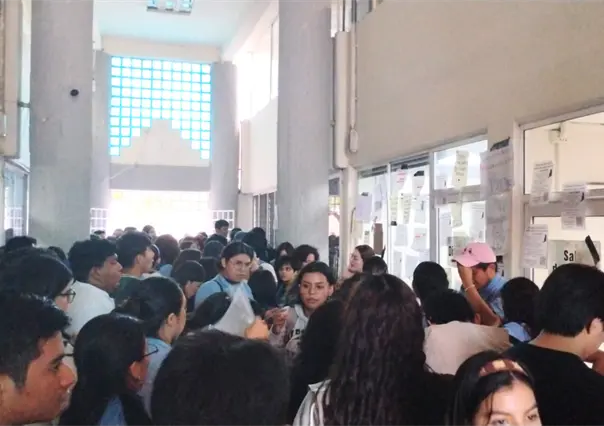 Gatito es torturado y amputado presuntamente por estudiantes universitarios en Tabasco