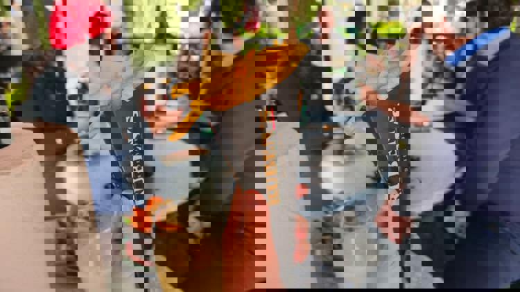 imagen-cuerpo imagen-cuerpo