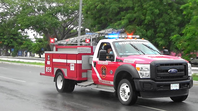 imagen-cuerpo imagen-cuerpo