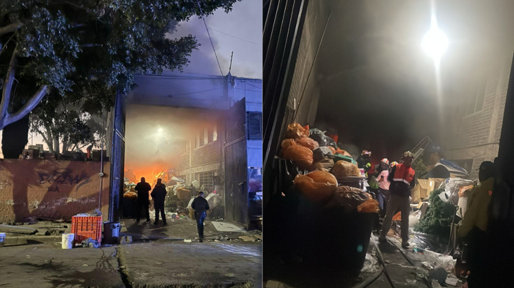 imagen-cuerpo imagen-cuerpo