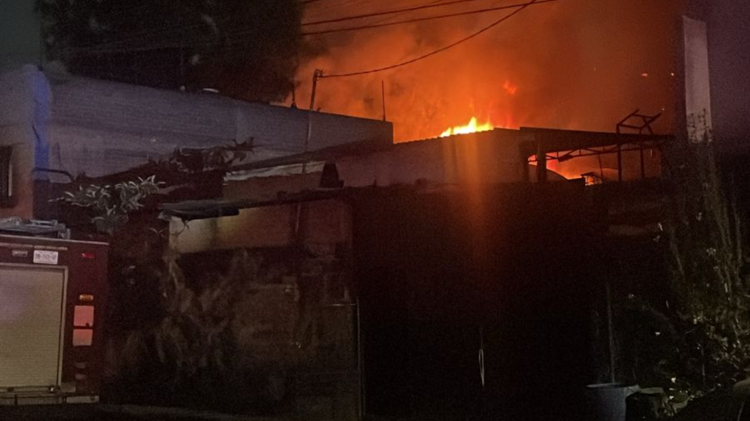 imagen-cuerpo imagen-cuerpo